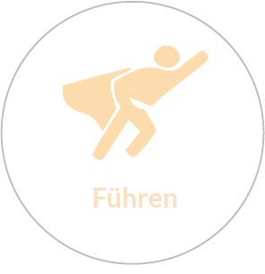 fuehren_maturity-model-light