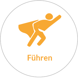 fuehren_maturity-model